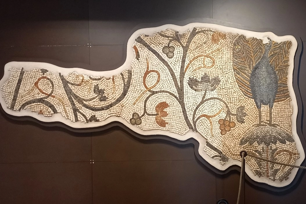 Aquileia, lo splendido mosaico in tessere cromate che raffigura il pavone nella SudHalle