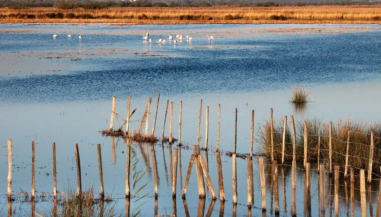 Viaggio in Camargue, sospesi tra storia e sogno