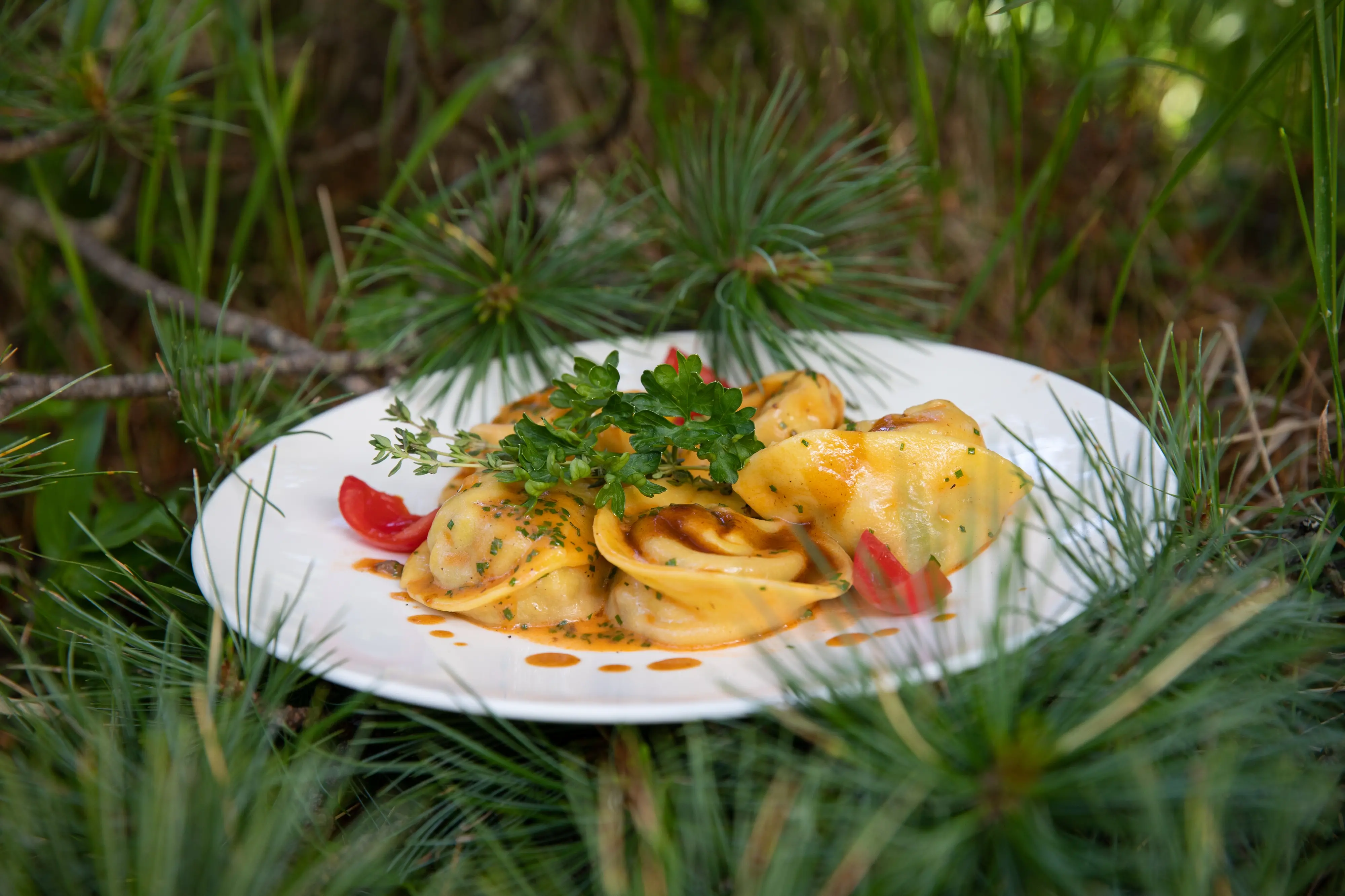 Settimane del Gusto Selvaggina e Funghi, in Val D’Ega a settembre tra sapori ed escursioni