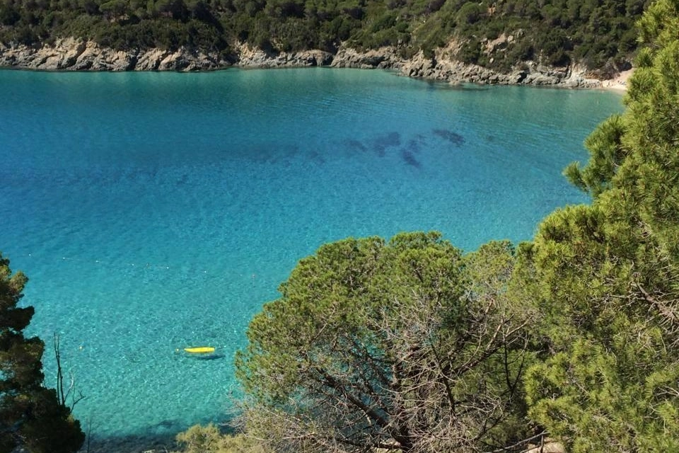 Spiaggia di Sansone (Isola d'Elba)