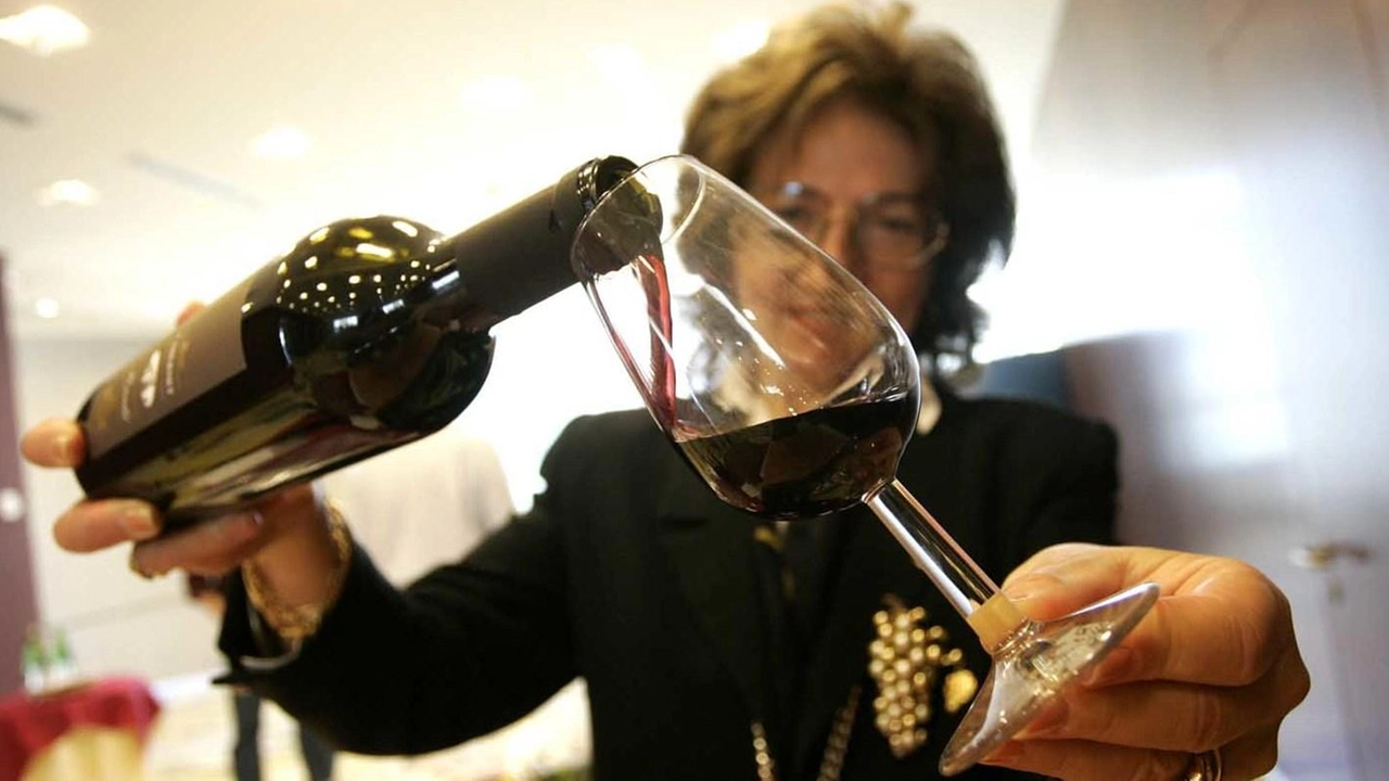 Vinitaly 2024: l'evento imperdibile per appassionati e professionisti del vino. Il nostro speciale