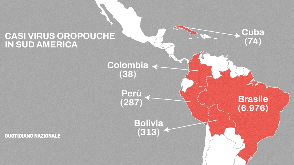 Mappa casi Oropouche nell'America del Sud