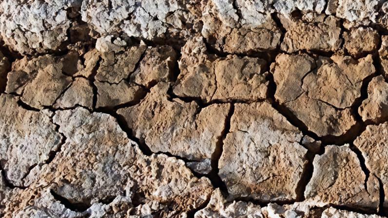 Paolo Pileri. Dalla parte del suolo: "Stiamo consumando il futuro. Con la terra, per salvare la Terra"