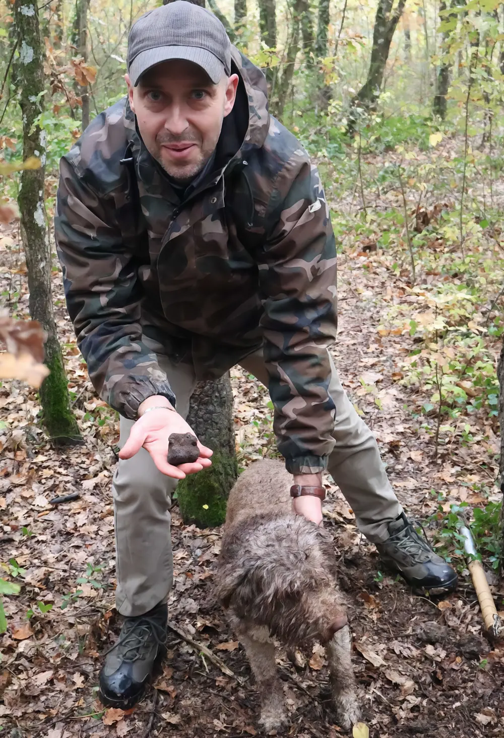 Scopri le delizie del Molise: tartufo, zafferano e innovazione agricola