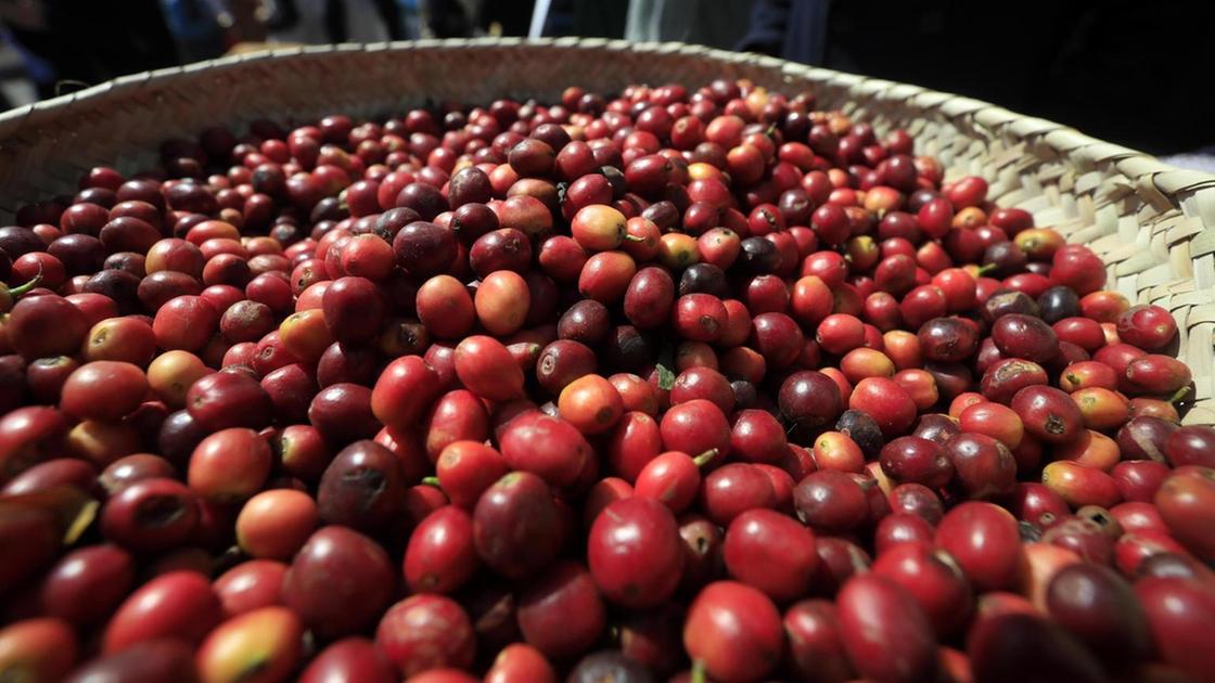 Speciale Caffè: Sostegno alle Imprese del Settore con Confidi Venezia Giulia