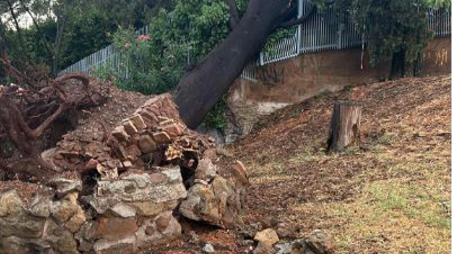 Maltempo: oltre 80 interventi a Roma anche al Circo Massimo