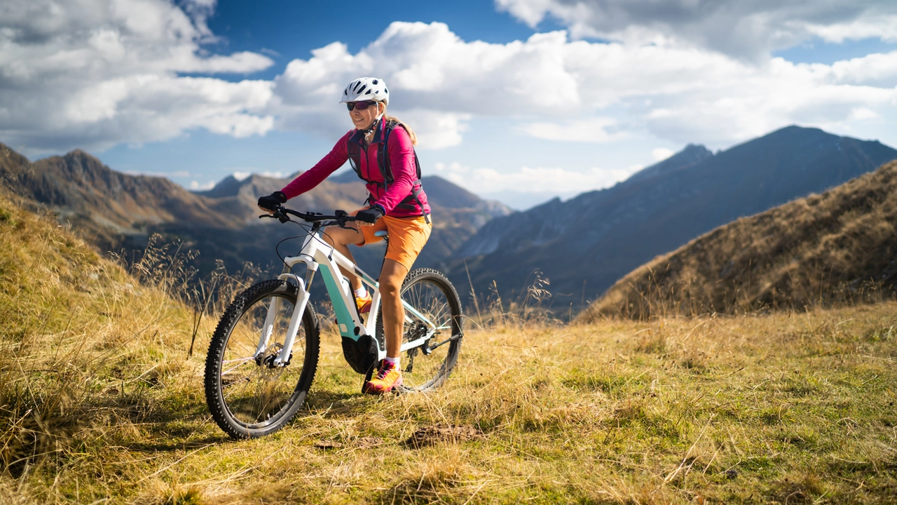 Bicicletta a pedalata assistita, foto generica