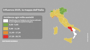 Quanto dura l’influenza 2025. “La vera pandemia nascosta è la resistenza agli antibiotici”