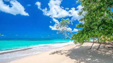 Spiaggia incontaminata, Repubblica Dominicana