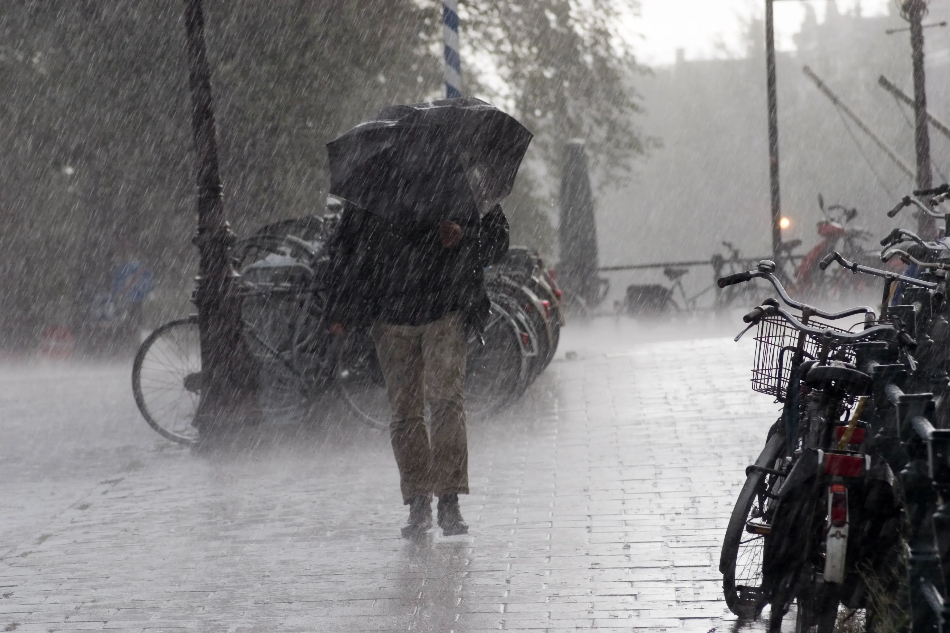 La tempesta Herminia incombe sull’Italia, rischio nubifragi: ecco dove. Tanta neve sulle Alpi