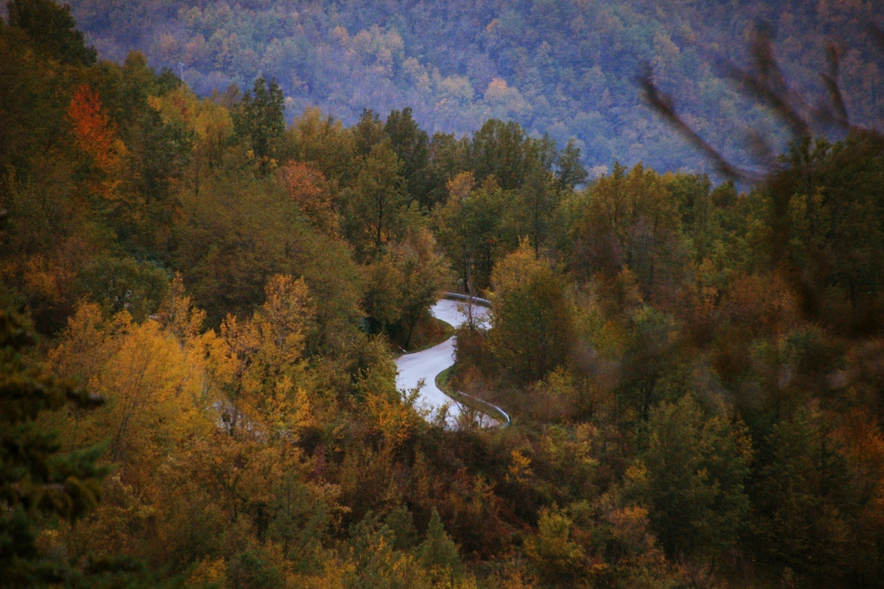 Una delle mete per ammirare il foliage autunnale è senz’altro il Parco nazionale della Majella, Abruzzo