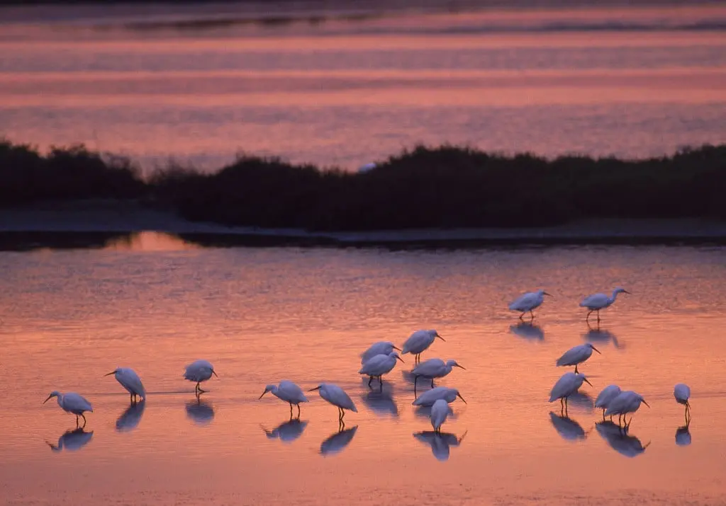 Comacchio: viaggio nella perla del Delta sospesa fra aria, terra e mare