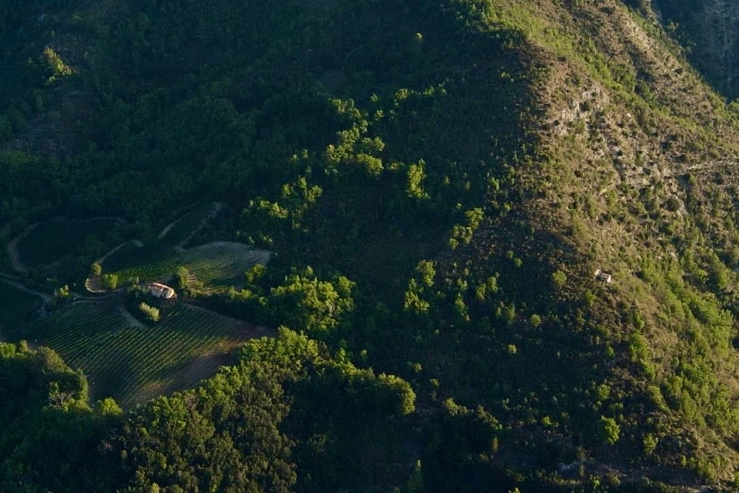 i vigneti di Arquata a oltre 600 metri d'altitudine