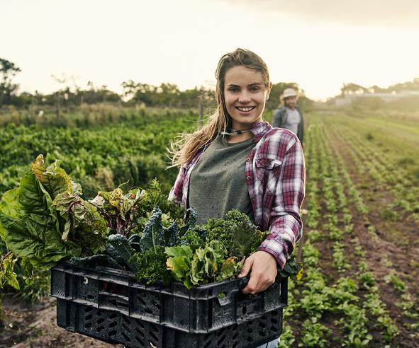 Aumentano i giovani agricoltori. Ma calano i terreni disponibili