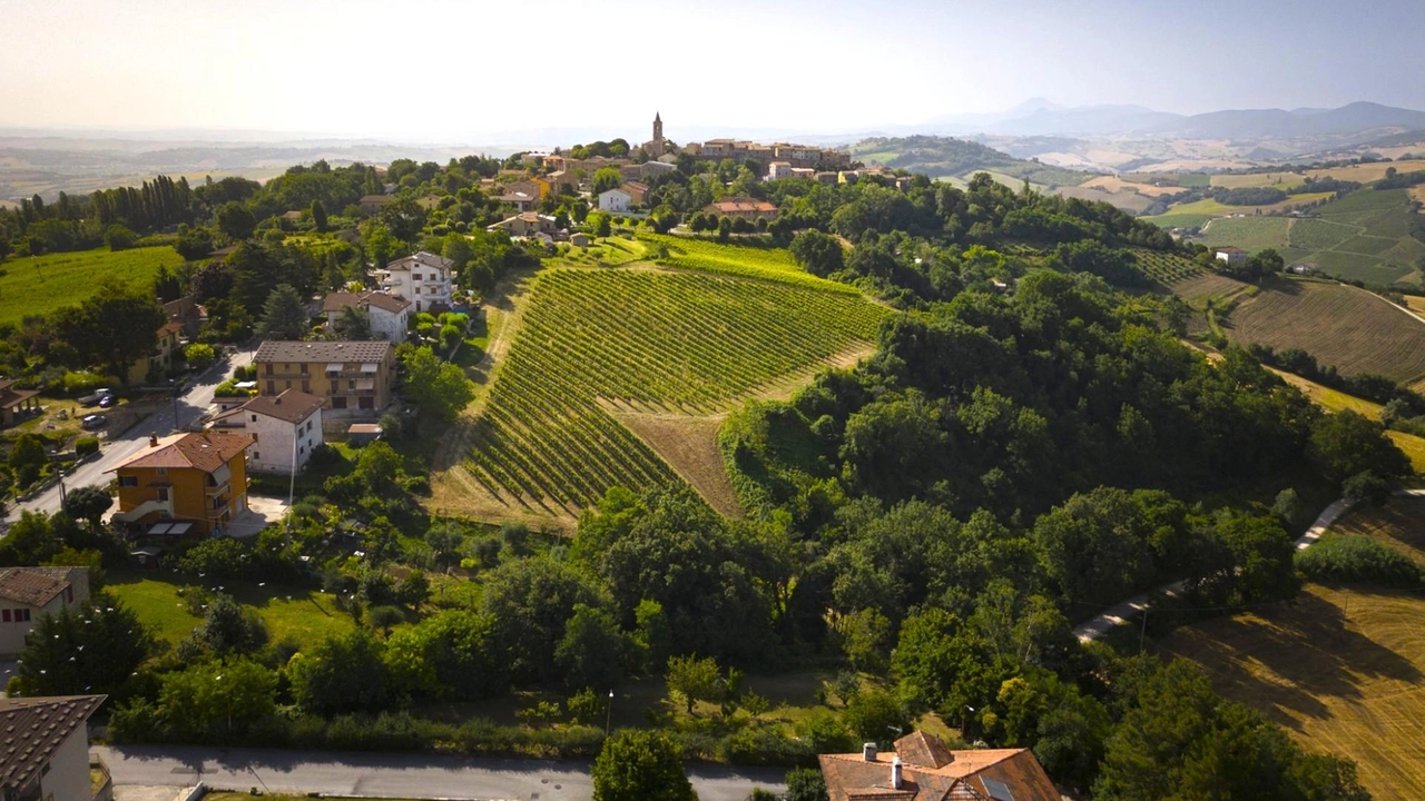 di Chiara Giacobelli Tutto pronto per il Vinitaly 2025: le Marche saranno in prima fila rappresentate da IMT – Istituto Marchigiano...