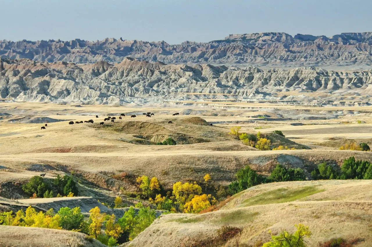 Nord e Sud Dakota, viaggio nell'America selvaggia delle grandi praterie