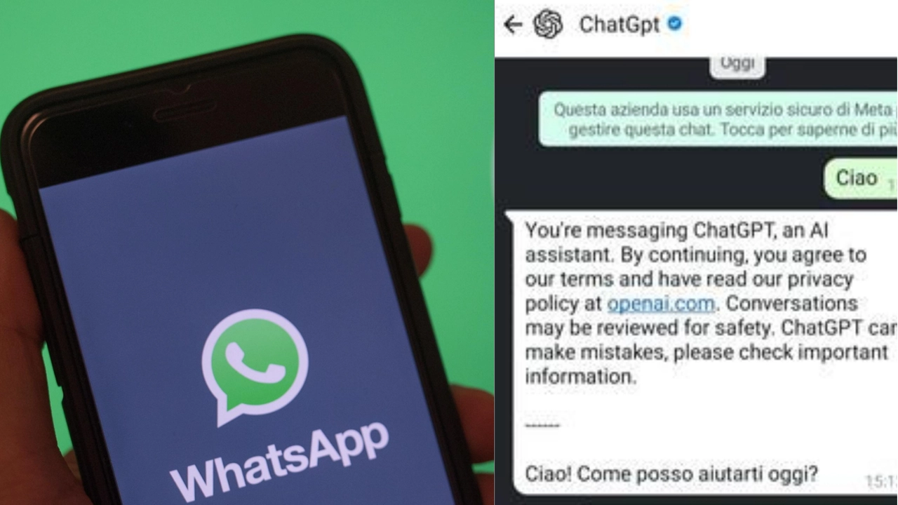 ChatGpt sbarca su WhatsApp, si può dialogare con l'intelligenza artificiale mandando dei messaggi