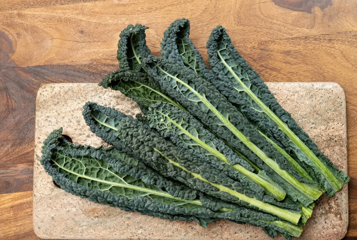 Cavolo nero, il superfood dell’inverno: le proprietà benefiche e come cucinarlo