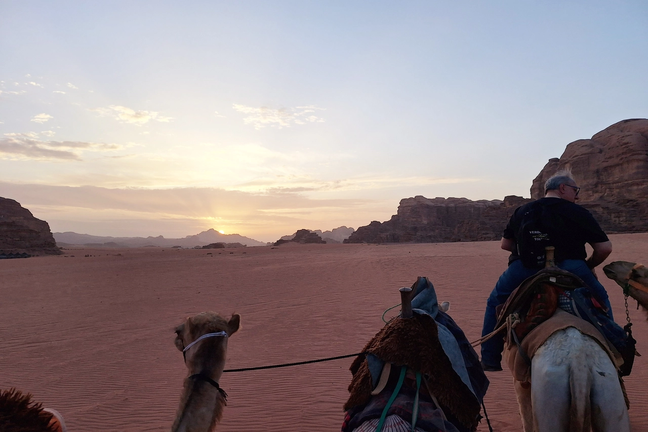 Dweserto Wadi Rum cammelli al tramonto