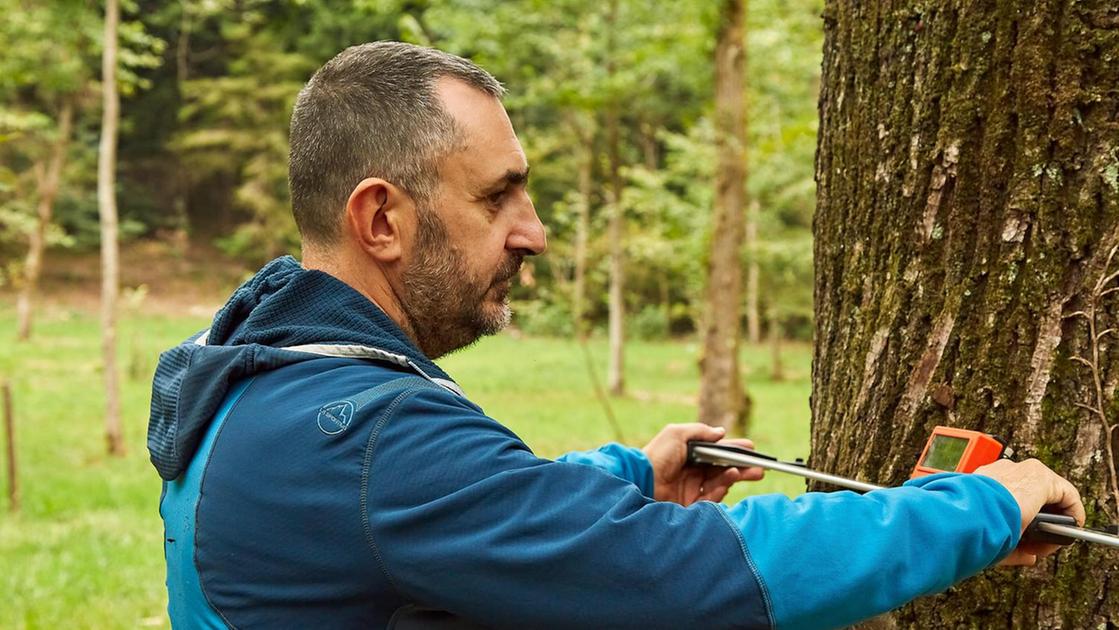 Progetto ‘Life Climate Positive’. Far rinascere un bosco e tutelare la biodiversità