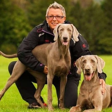 Quei cani che non perdono mai la traccia: ecco come fiutano le persone scomparse