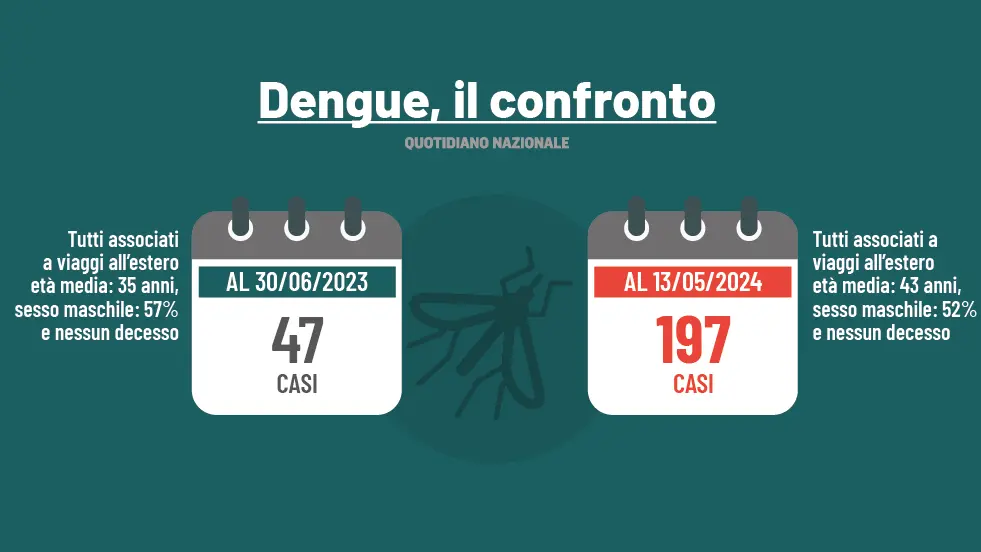 Dengue, l’ultimo caso a Trieste. L’esperta: “Quest’anno numeri piuttosto allarmanti”