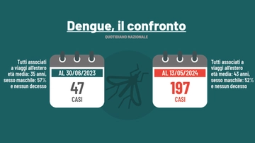 Dengue, l’ultimo caso a Trieste. L’esperta: “Quest’anno numeri piuttosto allarmanti”