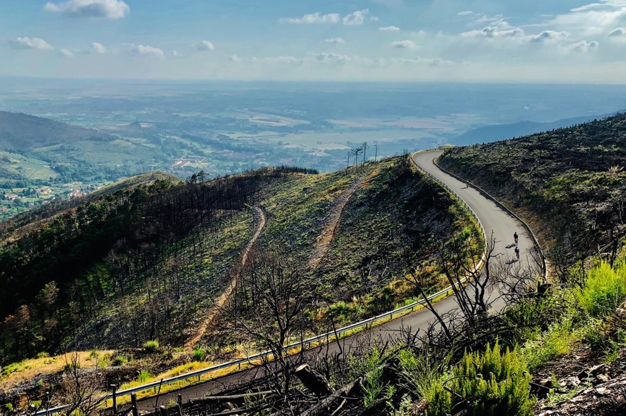 La campagna bruciata, suggestivo paesaggio sugli itinerari di Strade Zitte