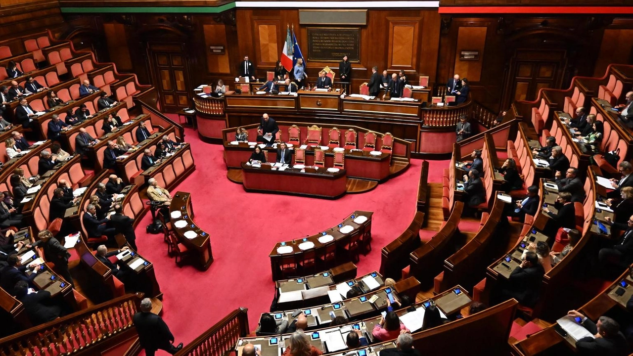 Il Senato approva all'unanimità la mozione di Elena Cattaneo per un finanziamento stabile alla ricerca scientifica.