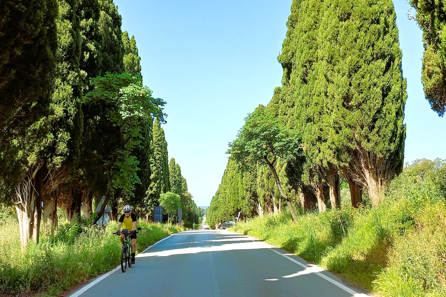 I cipressi in duplice filar, come scriveva Carducci, che salgono fino al borgo di Bolgheri, sono meta turistica e percorso per cicloamatori
