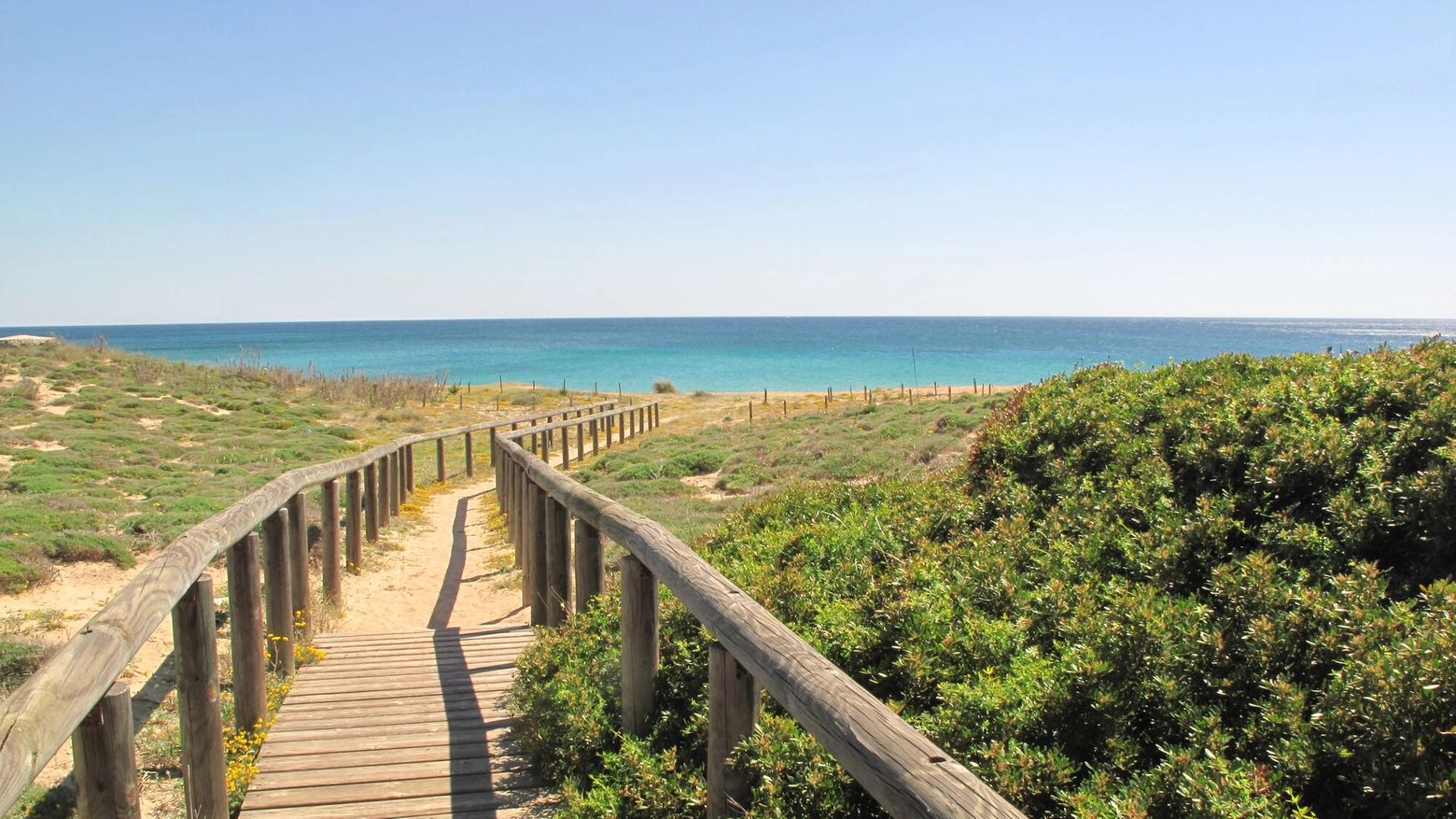 Dune di Campomarino di Maruggio (credits Regione Puglia)