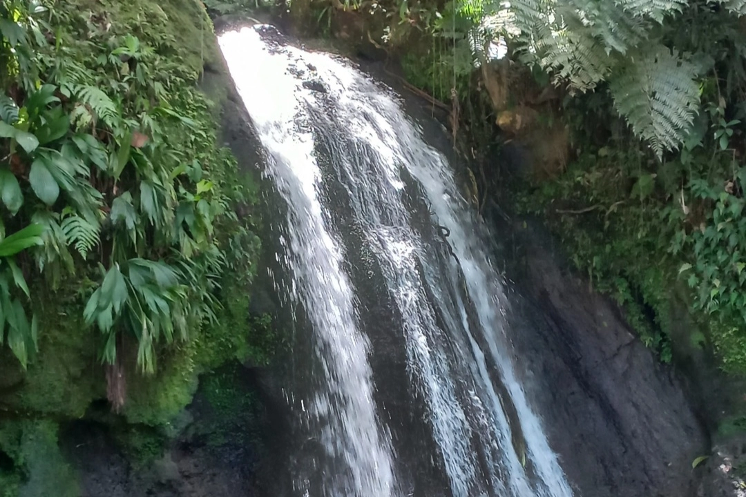 La cascata dei gamberetti