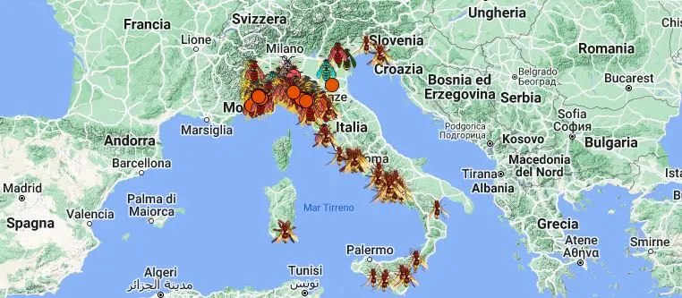 Vespa velutina (o calabrone asiatico), l’apicoltore: “Un flagello alieno, ecco come difendersi”. La mappa dell’espansione