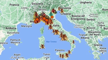 Vespa velutina (o calabrone asiatico), l’apicoltore: “Un flagello alieno, ecco come difendersi”. La mappa dell’espansione