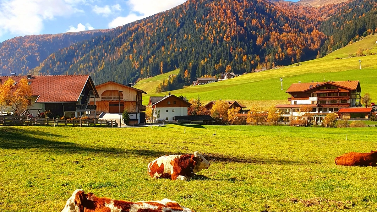 Quiete e tranquillità nella Valle di Casies