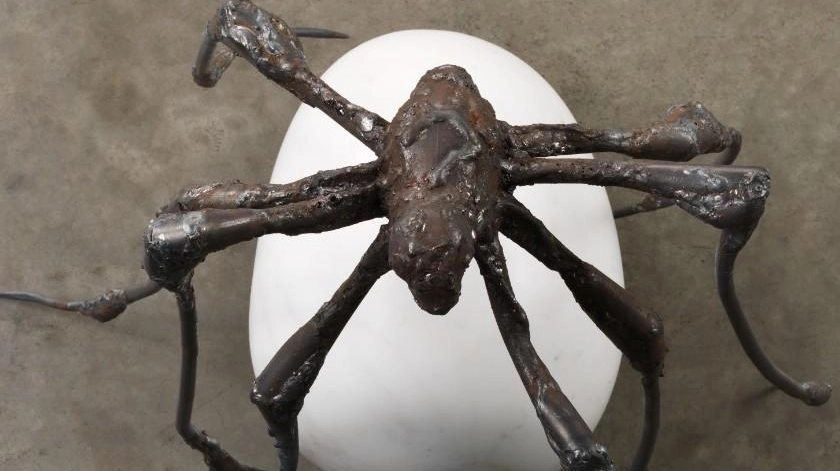 La scultura Spider di Louise Bourgeois in mostra al Museo Novecento di Firenze