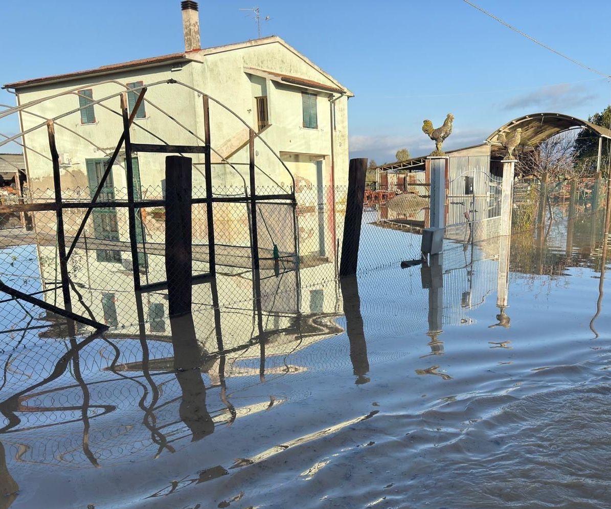 Elba in ginocchio dopo il nubifragio. I residenti: "Abbiamo perso tutto"