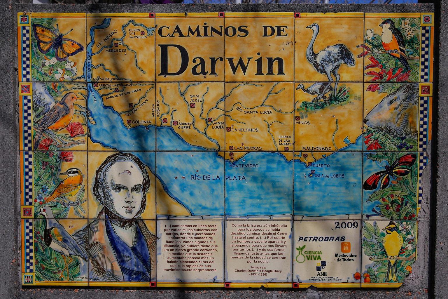 Darwin Day: celebrazioni della Teoria dell'Evoluzione in tutta Italia