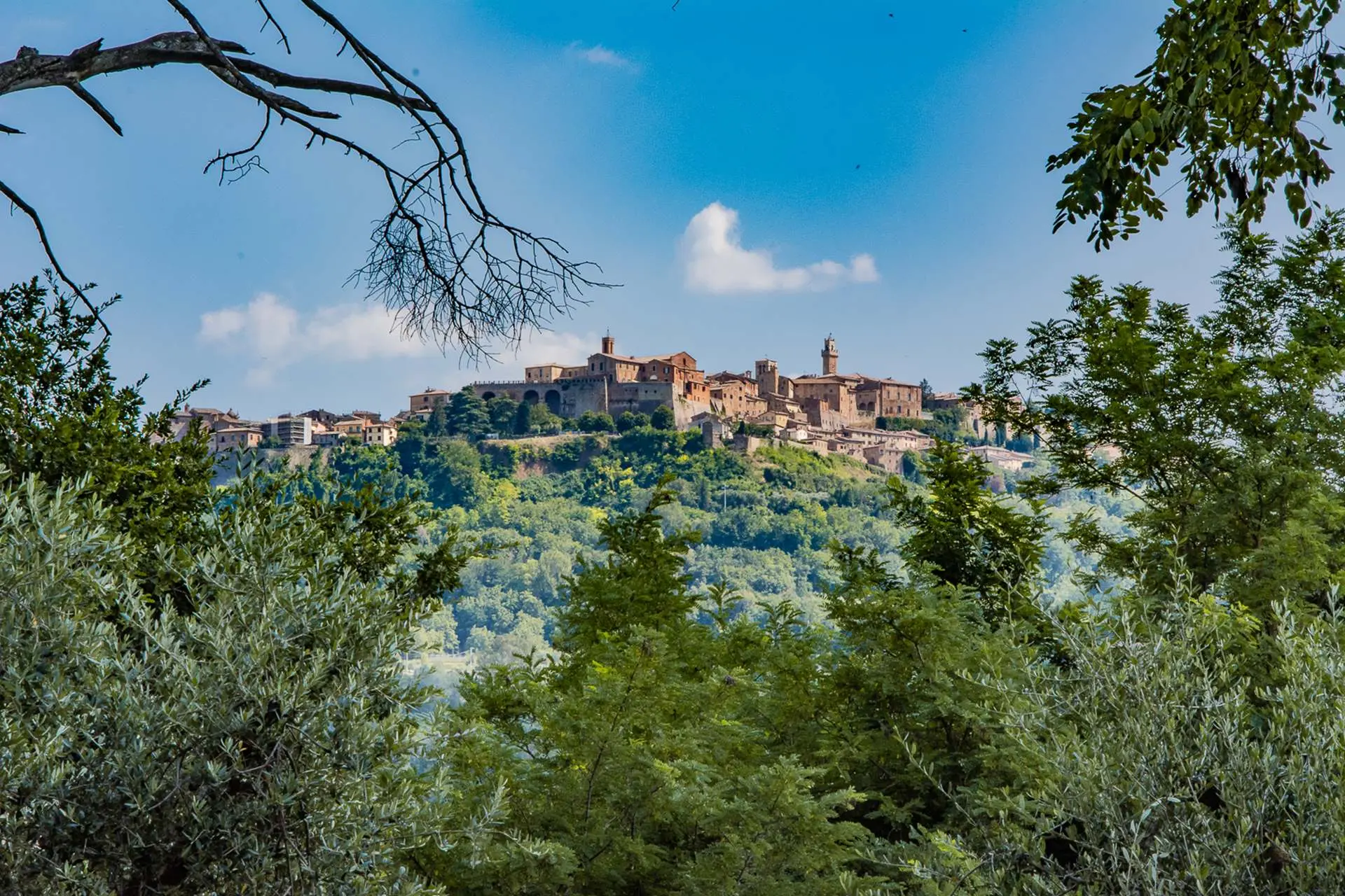 Montepulciano, il gioiello storico ed enologico incastonato tra le colline senesi