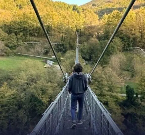 Un ponte da Guinness. Capolavoro d’ingegneria