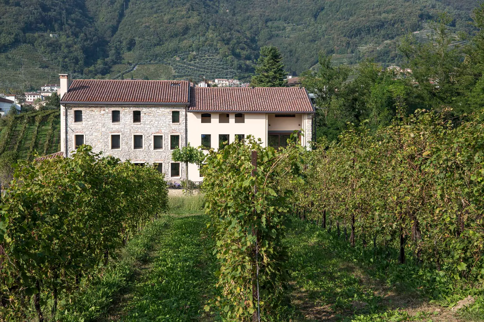 Casa Valdo, enoturismo di lusso tra i vigneti del Prosecco Valdobbiadene