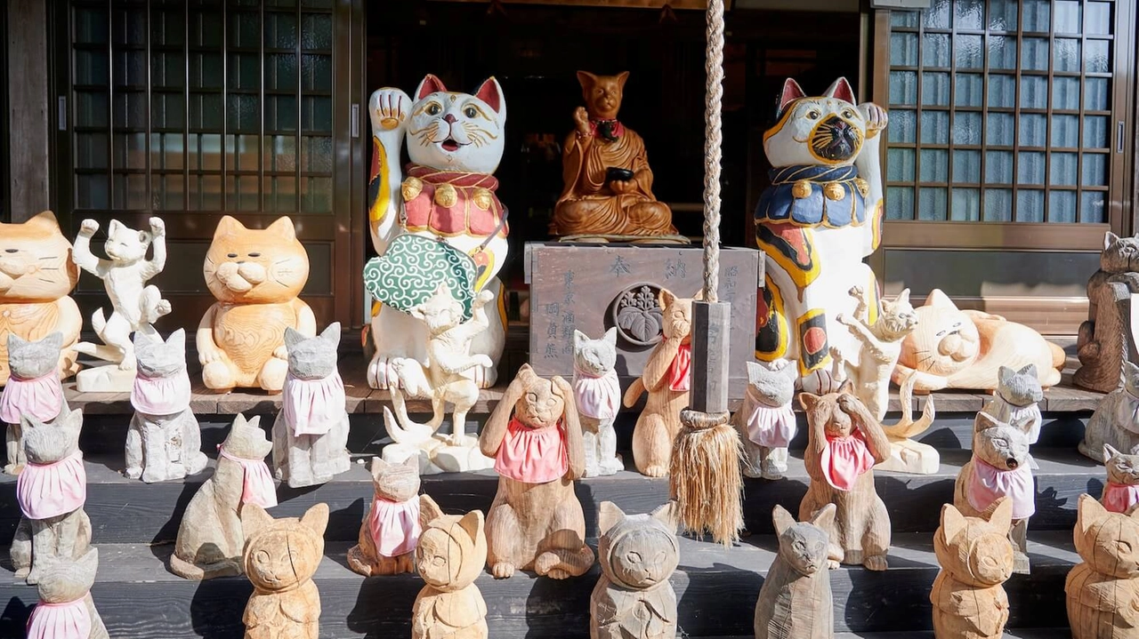 Il Giappone e il culto del gatto: un tour a tema da Tokyo alle Cat Islands