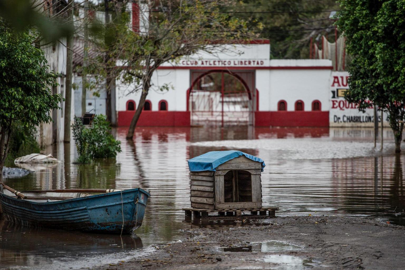 Piogge torrenziali in Argentina: 13 morti e due dispersi a Bahia Blanca