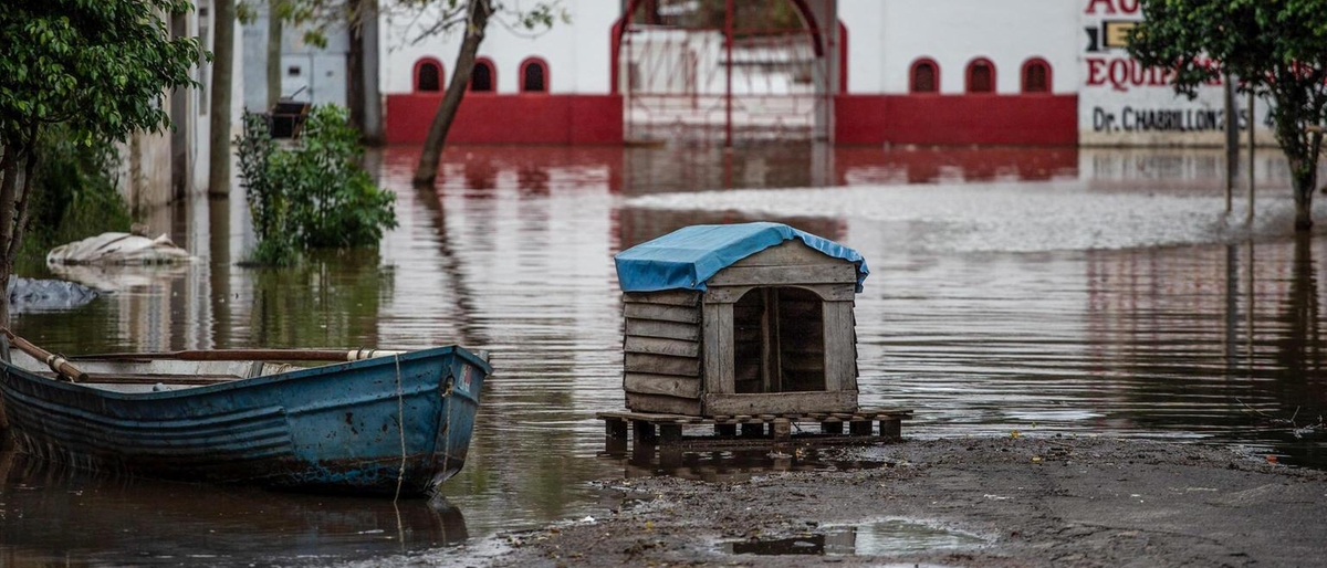 Piogge torrenziali in Argentina: 13 morti e due dispersi a Bahia Blanca