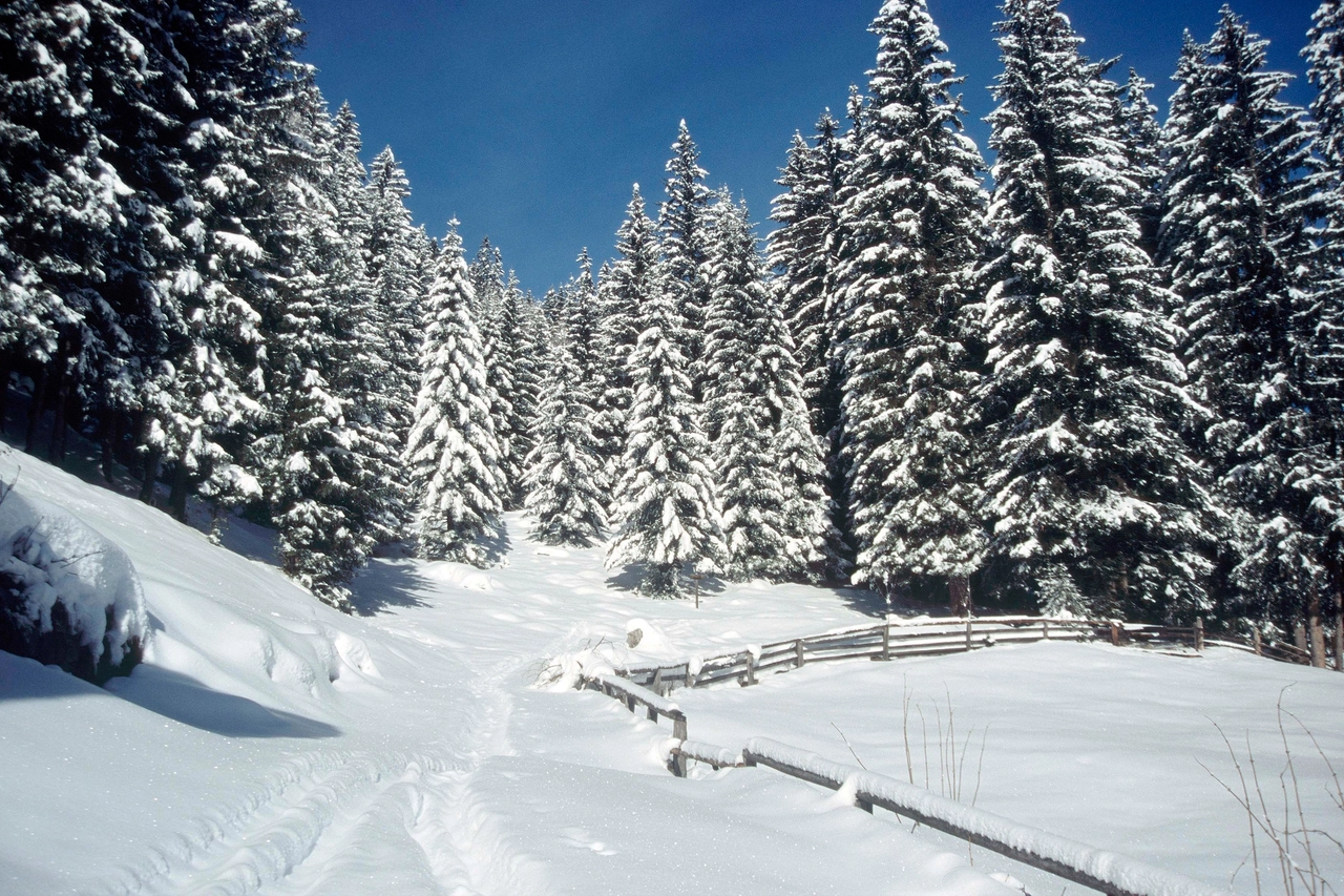 Paesaggio invernale