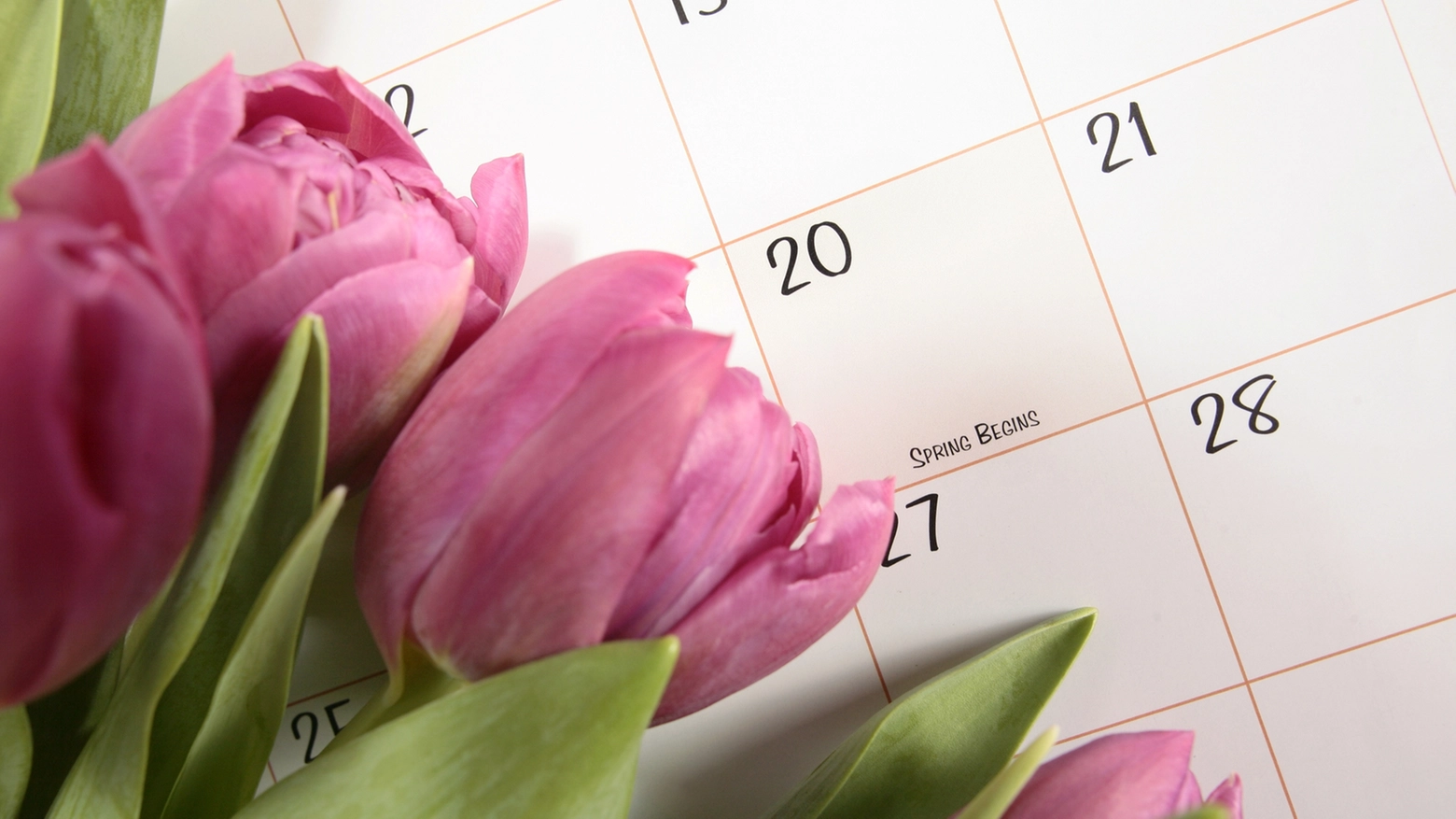 20 marzo Equinozio di primavera - Crediti iStock Photo
