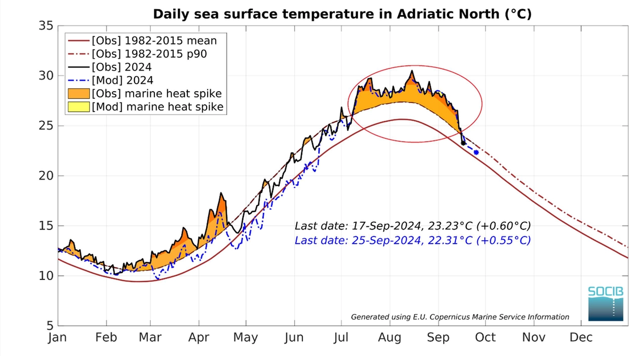 La temperatura superficiale del mare Adriatico nel grafico postato su Facebook da Pierluigi Randi