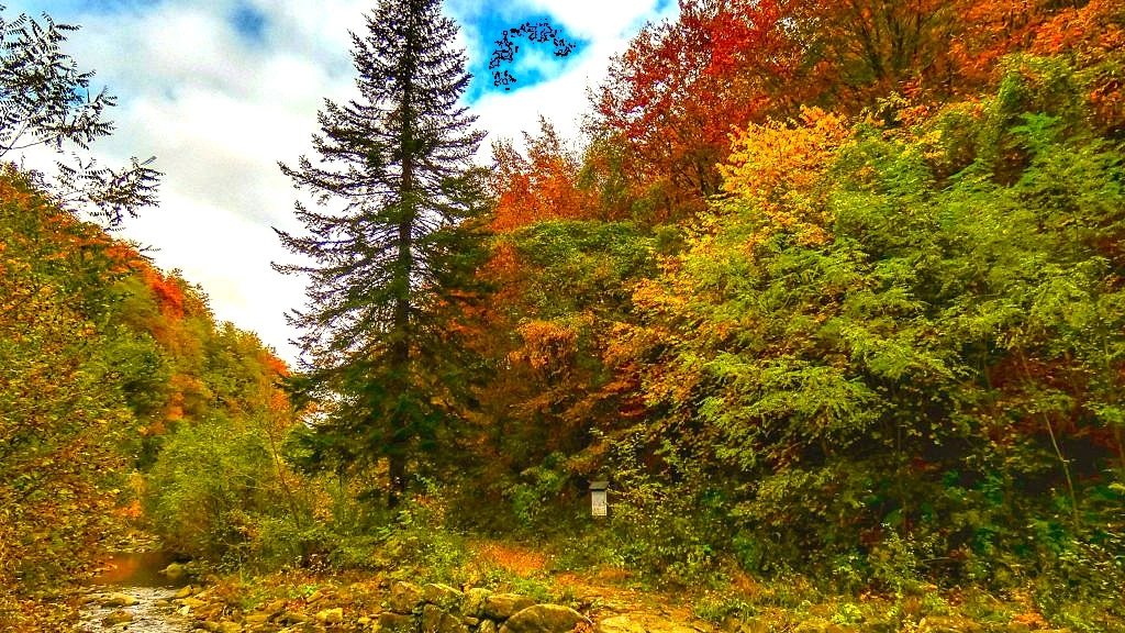 Il Sentiero del Ghiaccio nella Montagna Pistoiese