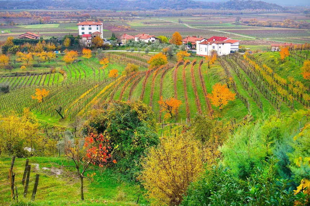 Friuli Venezia Giulia, dal rito del tajùt all'aperitivo doc