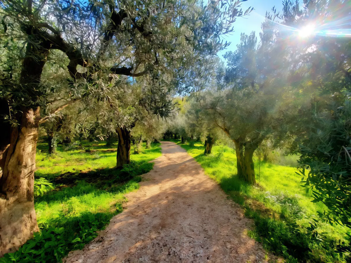 VIA LAURETANA. A PIEDI NEL SOLCO. DELLA FEDE